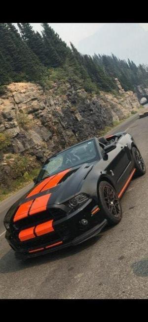 2013 Ford Shelby Gt 500 convertible